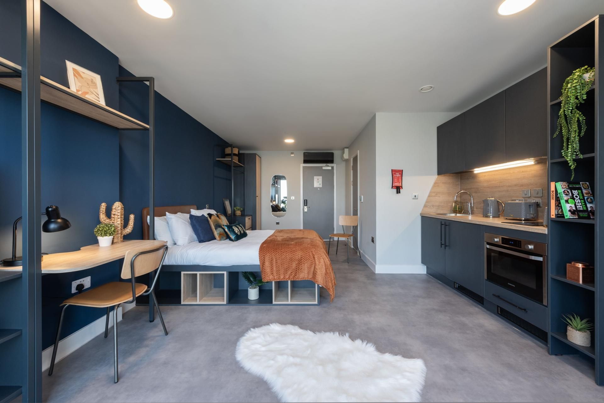 Luxury Studio